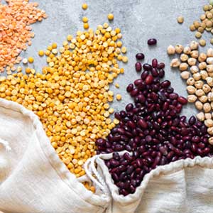 Pulses & Grains